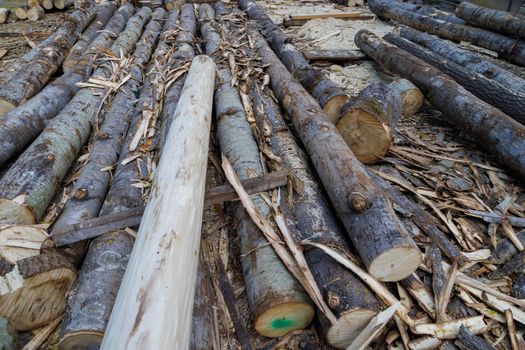unpeeled aspen logs laid on the ground before become an rustic wooden house at daylight, close-up background