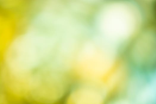 Yellow green blurred background with soft gradient and bokeh. Backdrop