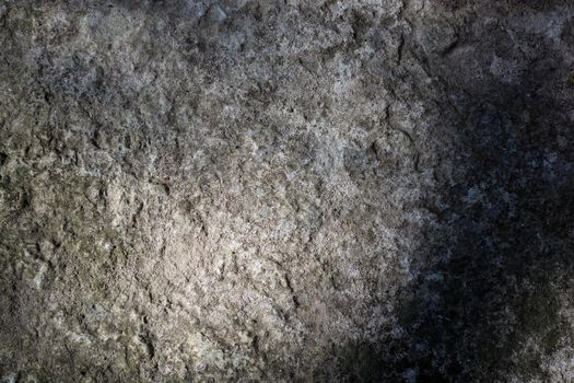 Gray stone background with fine moss and fine mud and vignetting. Backdrop