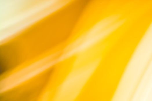 Bright yellow orange abstract background with interlacing light lines of rays. Backdrop