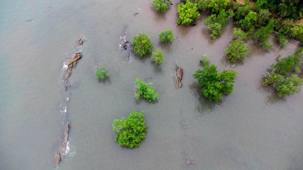 Aerial view of Ao Thalane, Tourist destination for kayaking to see the beauty of limestone mountains and fertile mangrove forests, Krabi, Thailand.