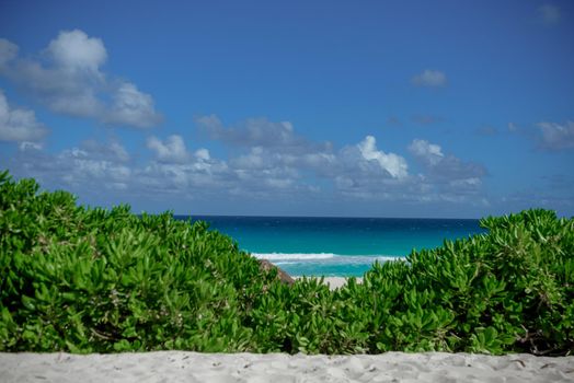 Sea shore on the Caribbean beach in the Area Hoteleria in Cancun Quintana Roo Mexico.