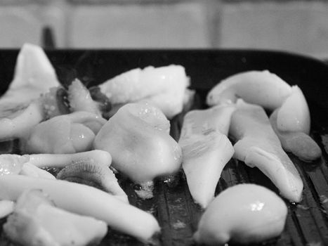 grilling a raw adriatic cuttlefish at home in Numana, Marche, Italy