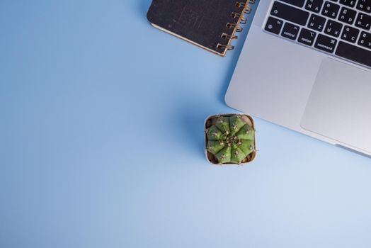 Top view computer cactus and notebook copy space above on background.