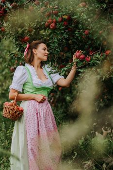 Happy woman in long retro dress with apron with basket in apple garden. Organic village lifestyle, agriculture, harvest, vintage style concept. High quality photo