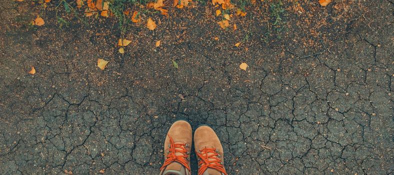 banner with Casual unisex boots with bright laces and colorful autumn fallen leaves. Toned. Autumn fall scene. Legs in boots on dry earth and autumn leaves. Lifestyle Fashion trendy style.