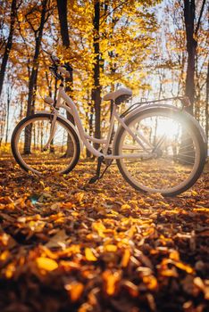 Retro styled white bicycle parked in autumn orange park. Beautiful scene of sun leaks. Amazing nature. High quality photo