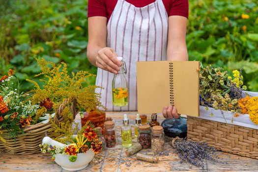 Medicinal herbs on the table. Place for notepad text. woman. Selective focus. nature.