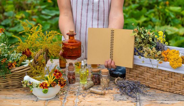 Medicinal herbs on the table. Place for notepad text. woman. Selective focus. nature.