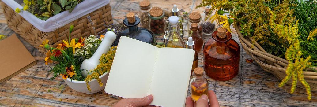 Medicinal herbs on the table. Place for notepad text. woman. Selective focus. nature.