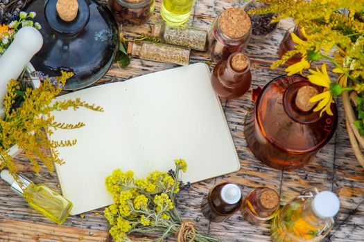 Medicinal herbs on the table. Place for notepad text. Selective focus. Nature.