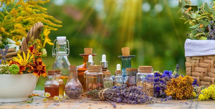 Medicinal herbs and tinctures on the table. Selective focus. Nature.