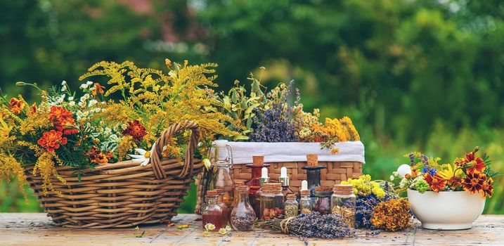 Medicinal herbs and tinctures on the table. Selective focus. Nature.