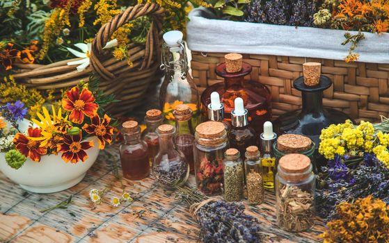 Medicinal herbs and tinctures on the table. Selective focus. Nature.