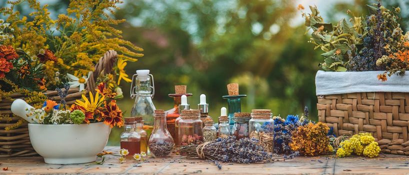 Medicinal herbs and tinctures on the table. Selective focus. Nature.