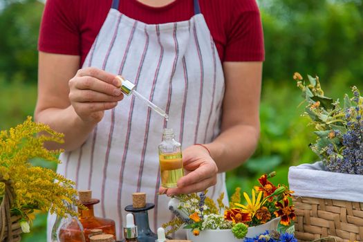 Woman with medicinal herbs and tinctures. Selective focus. Nature.