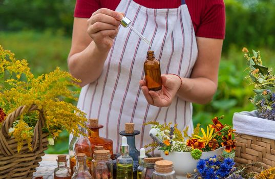 Woman with medicinal herbs and tinctures. Selective focus. Nature.