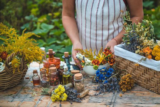 Woman with medicinal herbs and tinctures. Selective focus. Nature.