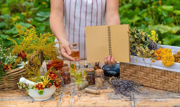 Medicinal herbs on the table. Place for notepad text. woman. Selective focus. nature.