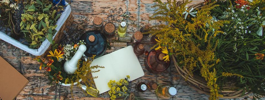 Medicinal herbs on the table. Place for notepad text. Selective focus. Nature.