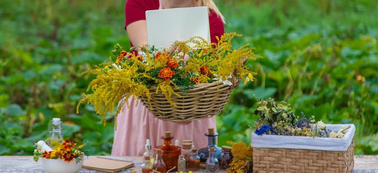 Medicinal herbs on the table. Place for notepad text. woman. Selective focus. nature.