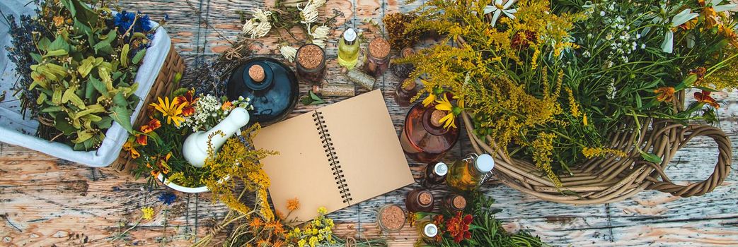 Medicinal herbs on the table. Place for notepad text. Selective focus. Nature.