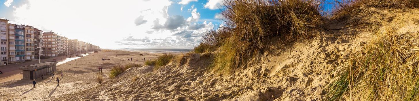 Highangle panorama from a dune with sawgrass at the beach of Koksijde at the belgian coast in warm autumnal light