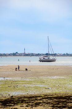 view on Ars-en-ré from la patache on the isle of ile-de-Ré on lowtide with boats resting and people searching for shells on sunny day in summertime