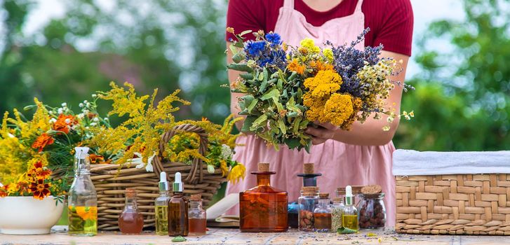 Woman with medicinal herbs and tinctures. Selective focus. Nature.