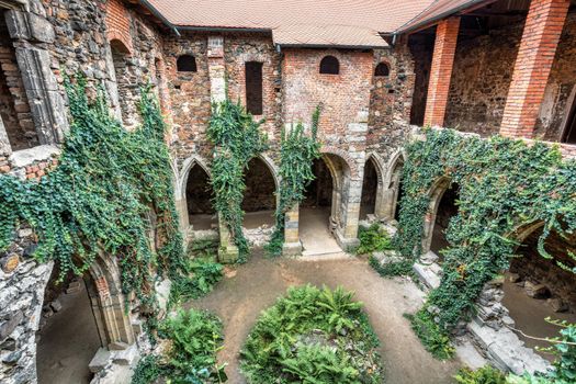 The Rosa Coeli monastery. Ancient catholic ruin of monastery near Dolni Kounice city. Religion gothic place with spiritual history builded from stone. Medieval and historical heritage. Czech Republic