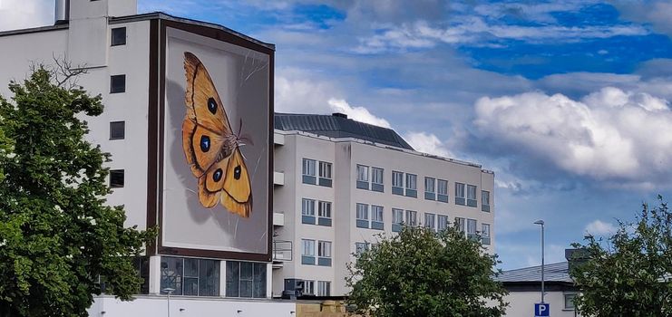 Vastervik, Sweden - July 05 2020: Butterfly Street Art on Apartment Building. High quality photo