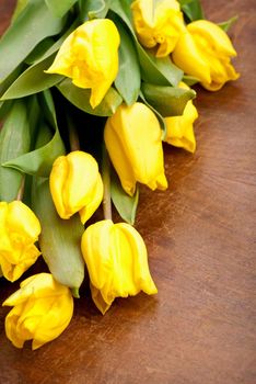 yellow tulips on wooden boards