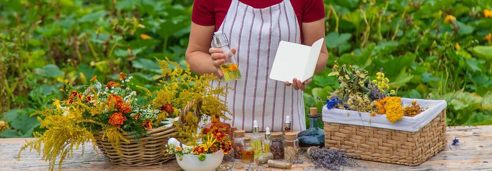 Medicinal herbs on the table. Place for notepad text. woman. Selective focus. nature.