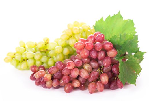 grapes bunch isolated on the white