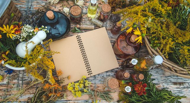 Medicinal herbs on the table. Place for notepad text. Selective focus. Nature.