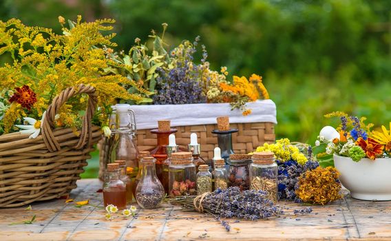 Medicinal herbs and tinctures on the table. Selective focus. Nature.