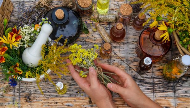 Woman with medicinal herbs and tinctures. Selective focus. Nature.