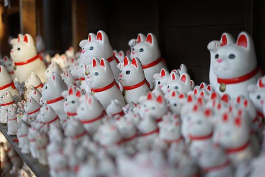 Image of invited cat (Tokyo, Gotokuji). Shooting Location: Tokyo metropolitan area