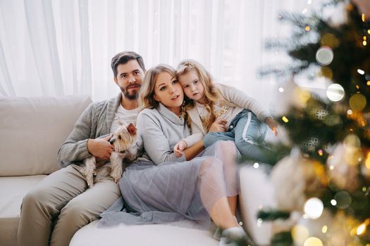 Happy family: mom, dad and pet. Family in a bright New Year's interior with a Christmas tree.