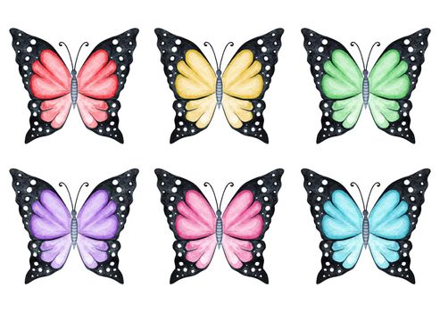 Watercolor colored butterflies set isolated on white background