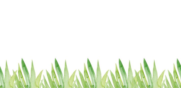 Watercolor green grass seamless border on white background.