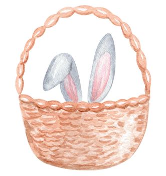 Watercolor grey bunny hiding in basket isolated on white background. Gray rabbit ears in straw box hand drawn illustration