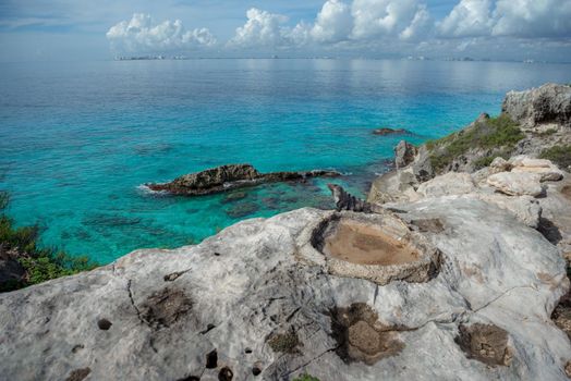 A gray iguana on a rock with the Caribbean Sea.