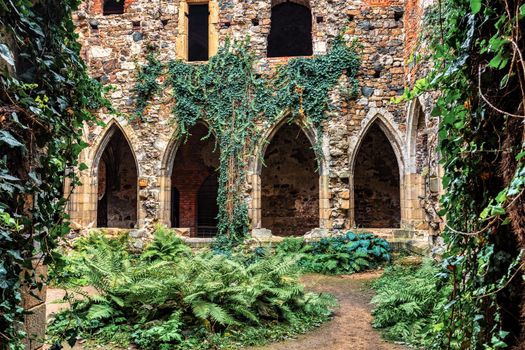 The Rosa Coeli monastery. Ancient catholic ruin of monastery near Dolni Kounice city. Religion gothic place with spiritual history builded from stone. Medieval and historical heritage. Czech Republic