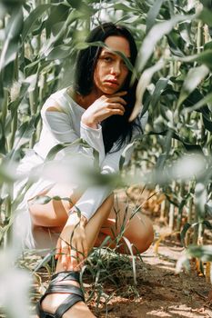 A brunette girl in a white dress in a cornfield. The concept of harvesting.