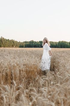 A blonde woman in a long white dress walks in a wheat field. The concept of a wedding and walking in nature.