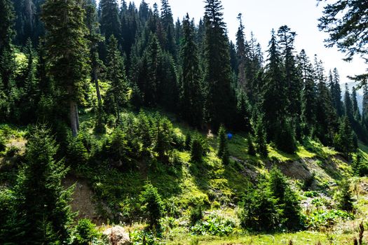 Mountain landscape in famous recreation zone of Guria region in western part of Georgia