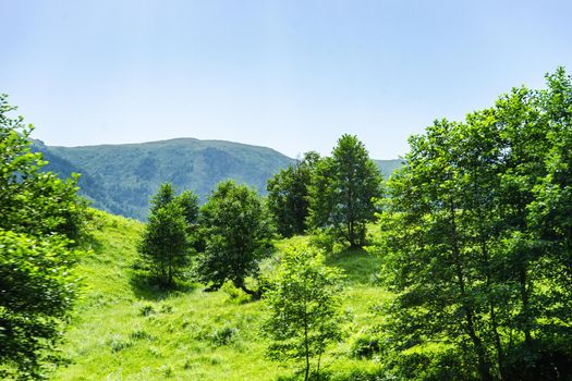 Mountain landscape in famous recreation zone of Guria region in western part of Georgia