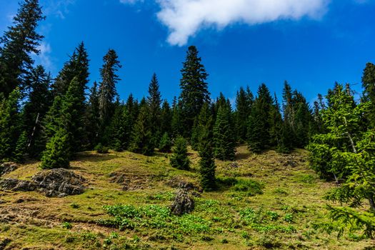 Mountain landscape in famous recreation zone of Guria region in western part of Georgia with green slopes