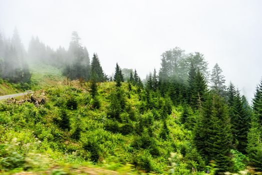 Mountain landscape in famous recreation zone of Guria region in western part of Georgia